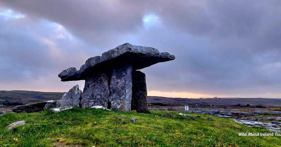 Cliffs of Moher and National Park Private Limousine Tour - Who will get the most from this day