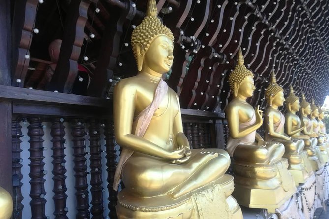 Colombo city tour with Experience Chauffeur - What the vehicle and private format mean