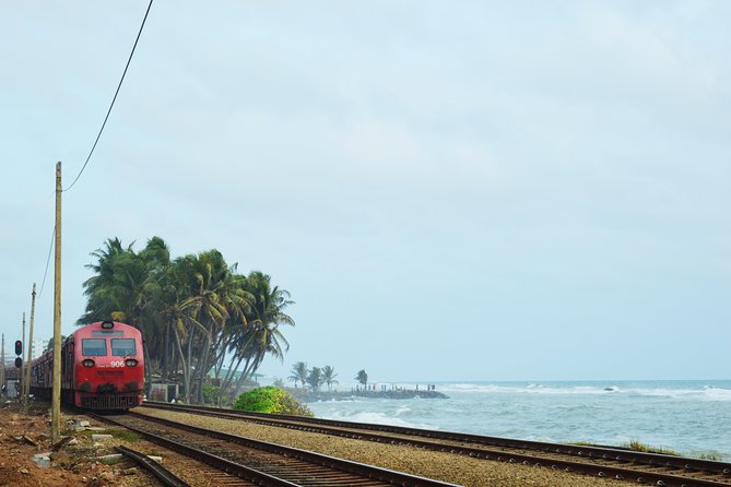 Colombo City Tour with Private Driver - Beira Lake, Seema Malakaya, and Gangaramaya