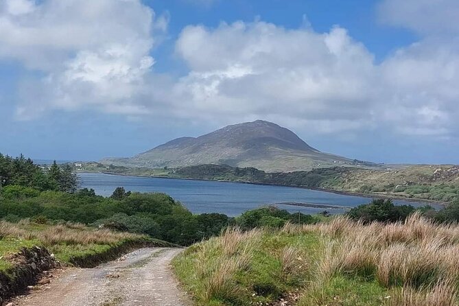 Connemara Sheep Farm experience & Kylemore Abbey by Lux Limousine - Why this private Connemara day works