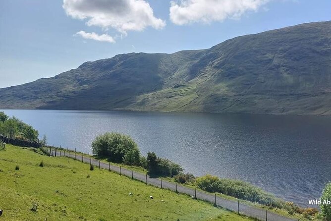 Connemara Sheep Farm experience & Kylemore Abbey by Lux Limousine - Carraroe, Spiddal, and the Wild Atlantic Way