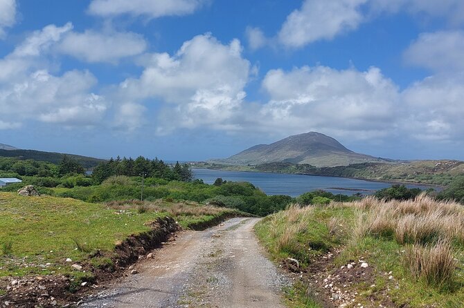 Connemara Sheep Farm experience & Kylemore Abbey by Lux Limousine - The Killary Sheep Farm visit