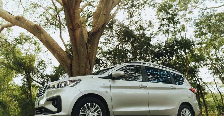 Cozumel: Private Car, Driver & Certified Tour Guide - Key Points at a Glance