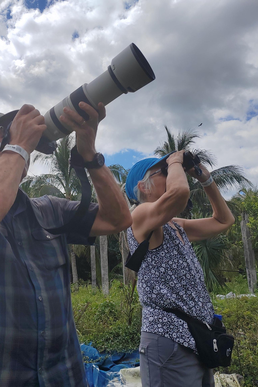 Cozumel: Private Car, Driver & Certified Tour Guide - San Gervasio and Cozumel’s Maya Past