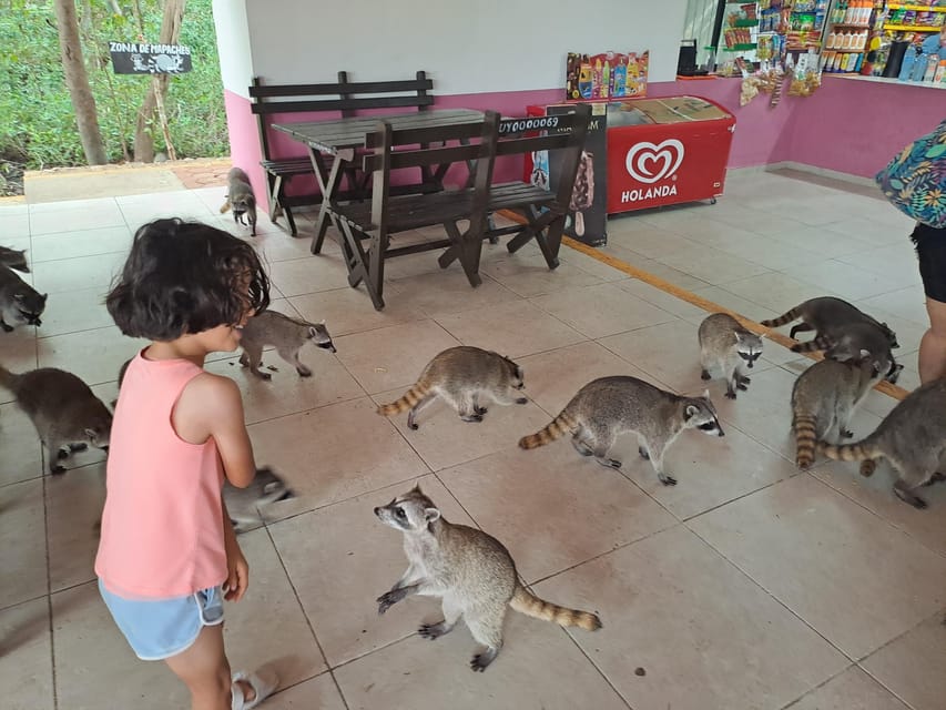 Cozumel: Private Car, Driver & Certified Tour Guide - What the Private Car Adds