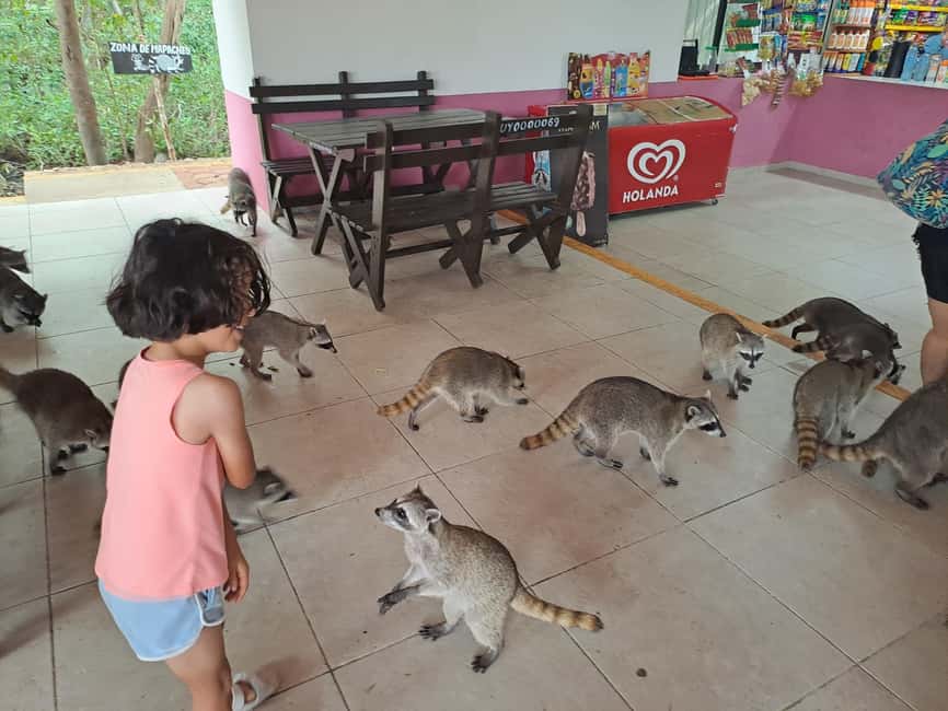 Cozumel: Private Car, Driver & Certified Tour Guide - Who Will Like This Tour Most