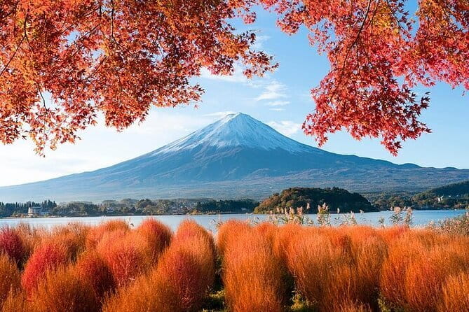 Customizable Private Tour in Mt. Fuji with Private Driver - Why a private car makes sense from Tokyo