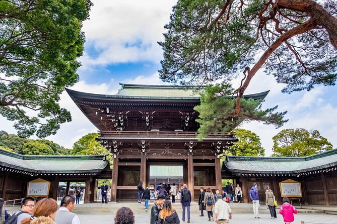 Customizable Private Tour in Mt. Fuji with Private Driver - The 5th Station: a higher viewpoint with a time cost