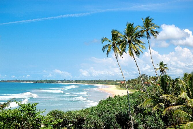 Customized 11-Day Flexible Sri Lanka Tour with Private Car - Days 1 and 2: Negombo fish, canals, Dambulla, and Sigiriya