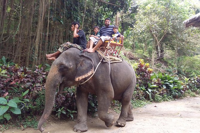 Customized Phuket Tours with Private Driver - Beaches, activities, and the value of local suggestions