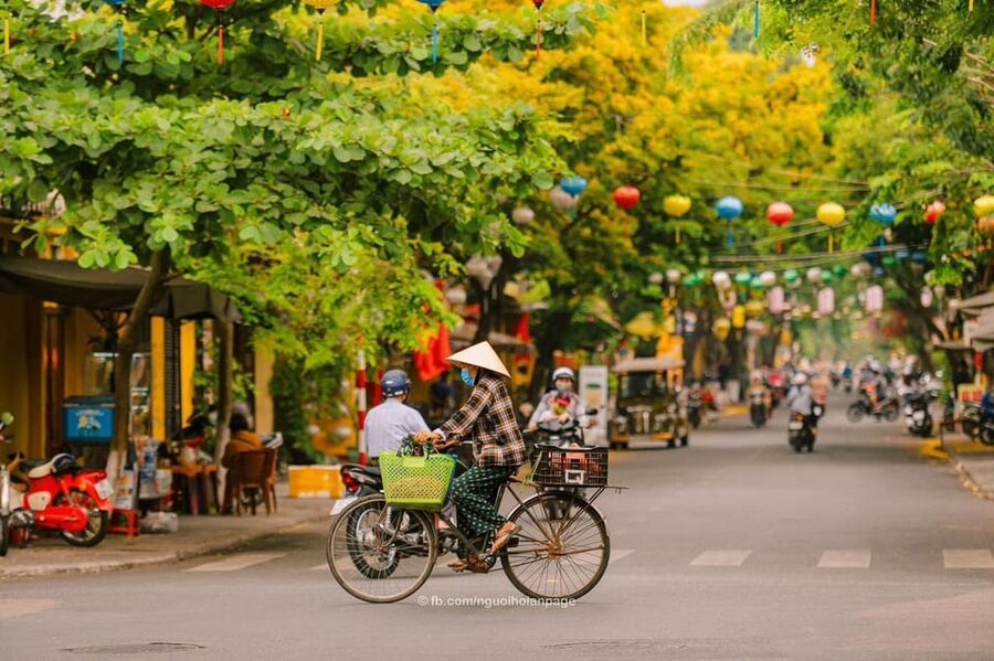 Da Nang: My Son Sanctuary and Hoi An Private Car Day Tour - Booking details worth checking before you go