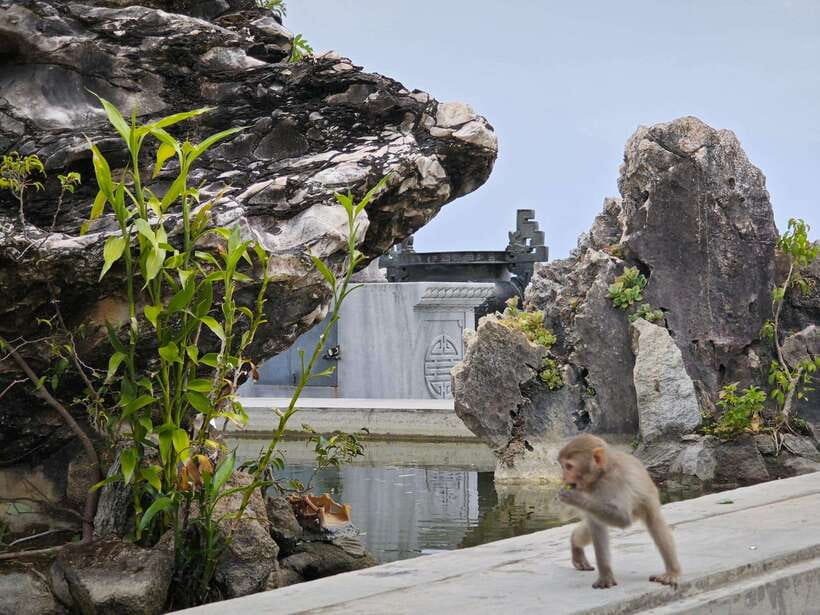 Da Nang : Private Car to Hue with Multi Sightseeing Stops - Optional stop: An Bang Cemetery