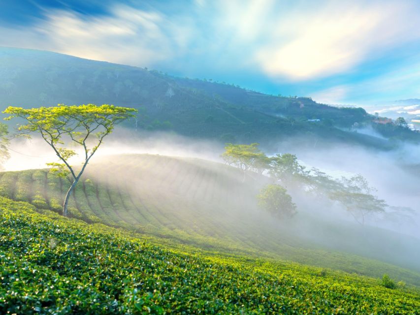 Dalat: Best of the Countryside Tour in a Private Car - Me Linh Coffee Garden and the weasel coffee story