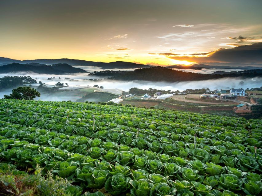 Dalat: Best of the Countryside Tour in a Private Car - Pongour Falls deserves the longest waterfall stop