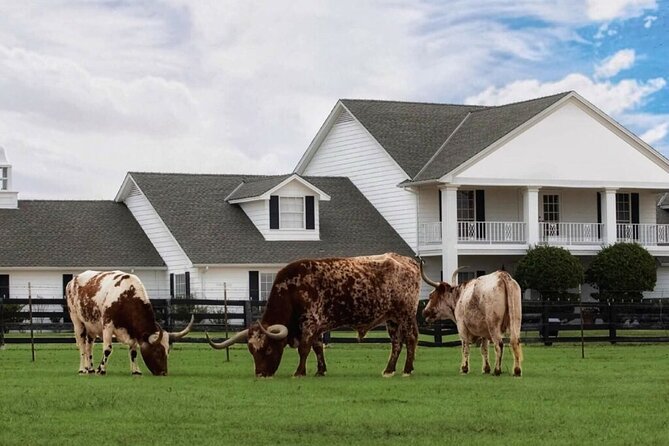 Dallas Southfork Ranch Private Limousine Tour - Why the private format matters
