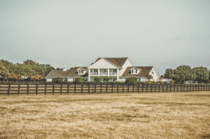 Dallas Southfork Ranch Private Limousine Tour - Timing is the detail that can make or break the day