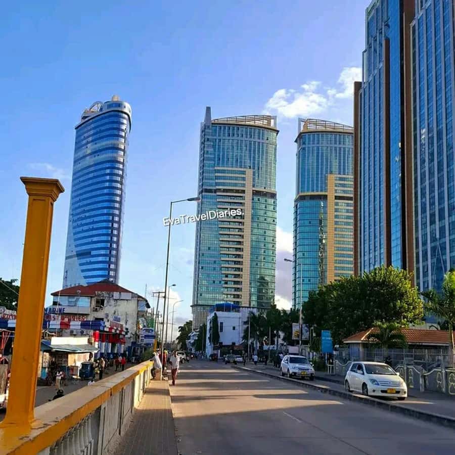 DAR ES SALAAM : 6hr DAR ES SALAAM CITY TOUR WITH PRIVATE CAR - Modern Dar at the SGR station and Tanzanite Bridge