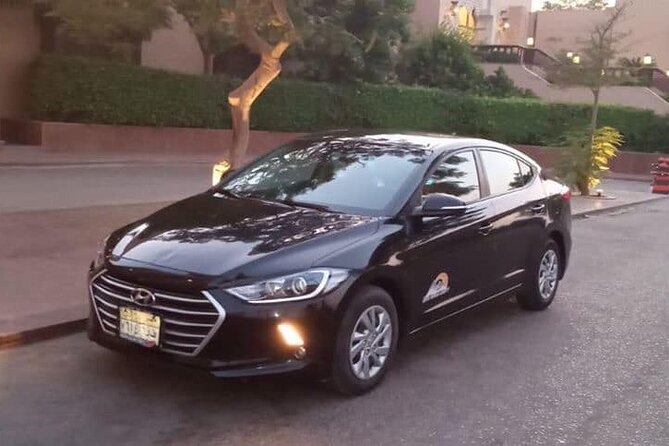 Day Tour to Aswan from Luxor by Private Car - Kom Ombo and its unusual double design