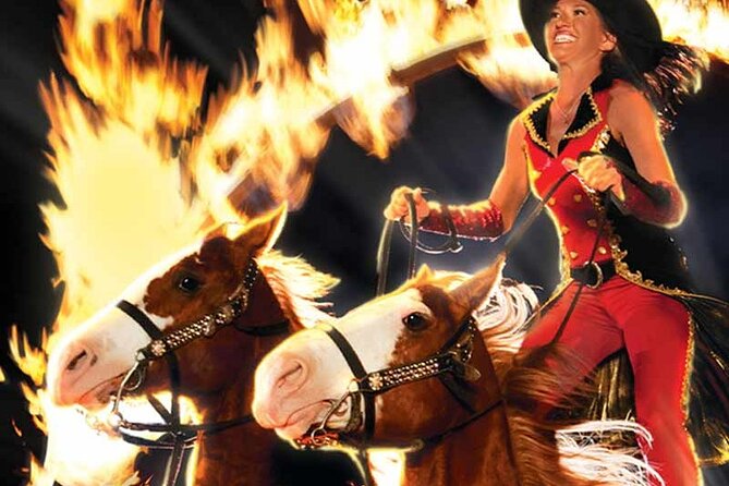 Day Trip Nashville to Dollywood Pigeon Forge with Private Driver - Physical demands and access details