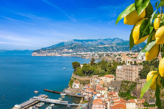 Deluxe Private Tour: Pompeii, Sorrento and Naples Private Driver - A Closer Look at the $393 Price