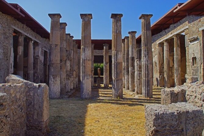 Deluxe Private Tour: Pompeii, Sorrento and Naples Private Driver - Who Will Get the Most From This Tour
