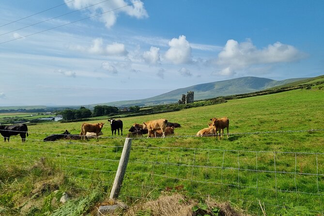 Dingle: Hour Slea Head Drive Tour 4hr - Personal Chauffeur Guide - Dun Chaoin Pier and Clogher Strand Keep the Views Coming