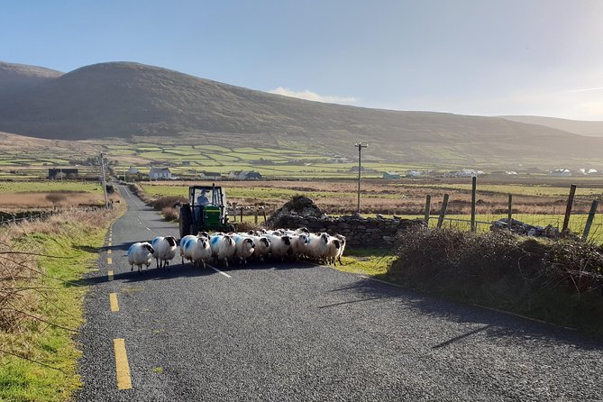 Dingle: Hour Slea Head Drive Tour 4hr - Personal Chauffeur Guide - Gallarus Oratory Shows the Peninsula’s Early Christian Past