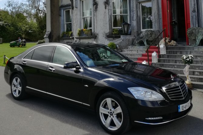 Dingle Town & Peninsula Private Chauffeur Driven Day Tour From Killarney Luxury - Meeting Aidan and seeing the beehive huts