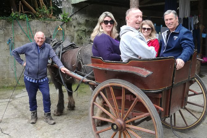 Dingle Town & Peninsula Private Chauffeur Driven Day Tour From Killarney Luxury - Lunch, shopping, and the freedom to slow down