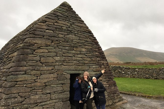 Dingle Town & Peninsula Private Chauffeur Driven Day Tour From Killarney Luxury - Driving the Dingle Peninsula and Slea Head