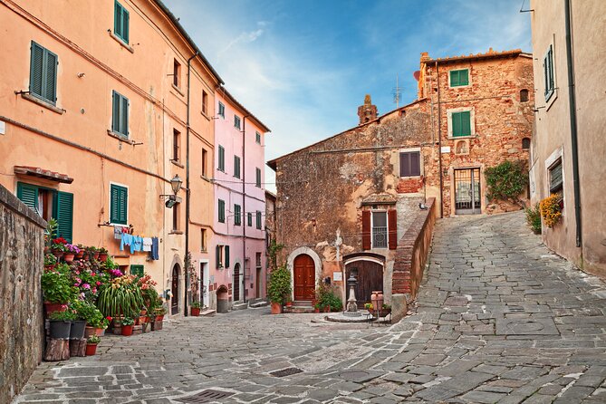 Direct transfer from Florence to Livorno with private driver - What your driver does, and what the driver does not do