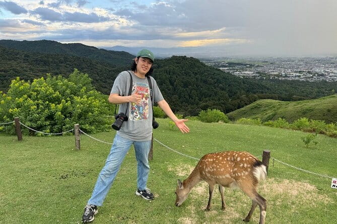 Discover Ancient Nara: Private Car Tour from Kyoto or Osaka - Meeting Nara’s deer in the park