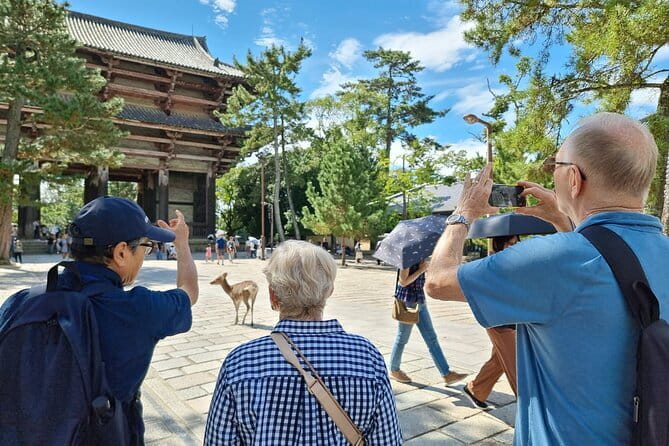 Discover Ancient Nara: Private Car Tour from Kyoto or Osaka - Kasuga Taisha through the sacred forest