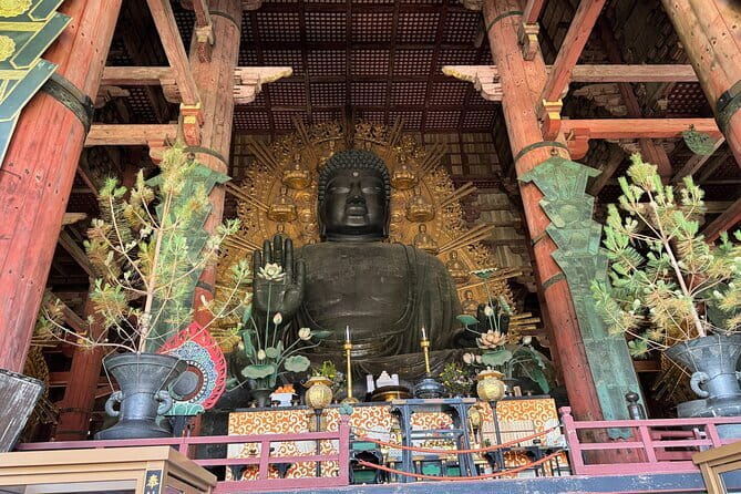 Discover Ancient Nara: Private Car Tour from Kyoto or Osaka - Optional experiences if your schedule allows