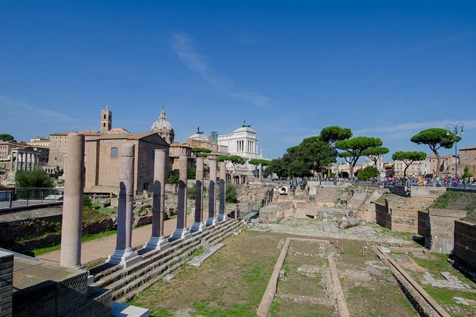Discover Rome in a Day – Private Driver Tour - Key points at a glance
