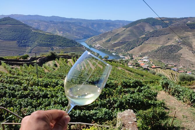 Douro Valley Premium Tours - Private Driver & Guide - Lunch in Régua, with three spending levels