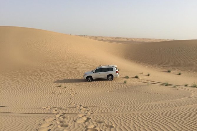 Dubai Kids Friendly Morning Safari - Private Car - What the desert portion is really like