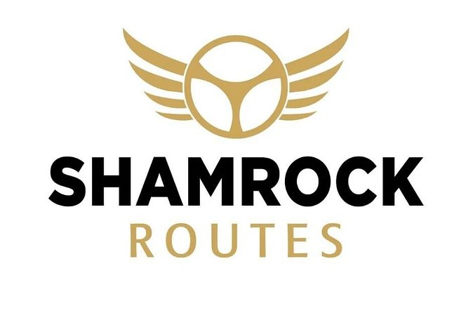 Dublin City Luxury Car Tour Experience - Leaving Dublin at 7:30 am