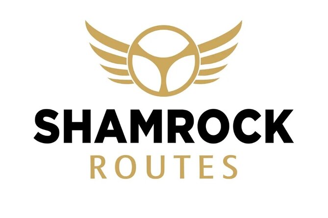 Dublin City Luxury Car Tour Experience - The long run toward the Cliffs of Moher