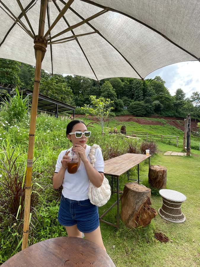 Elefin Farm & Cafe Half-day tour with Private Car - Who should book this outing