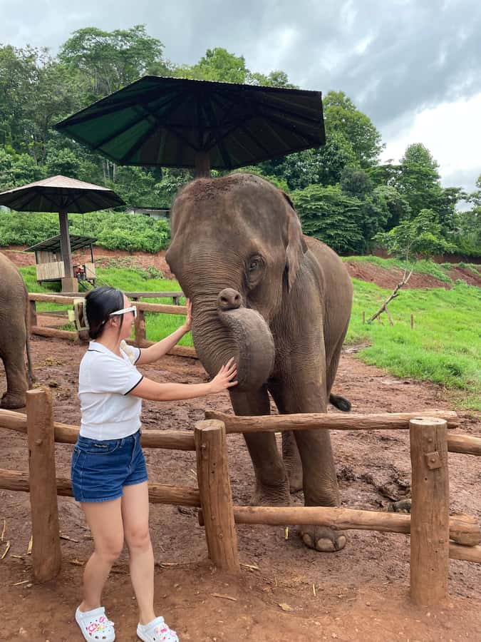 Elefin Farm & Cafe Half-day tour with Private Car - Why this private Chiang Mai outing works