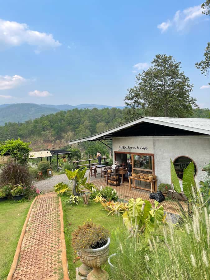 Elefin Farm & Cafe Half-day tour with Private Car - Wat Phrathat Doi Kham adds a temple stop