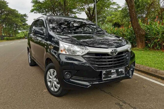Experience The Real Bali, With Your Own Bali Private Car And Driver - What the 8 to 10 hours really gives you