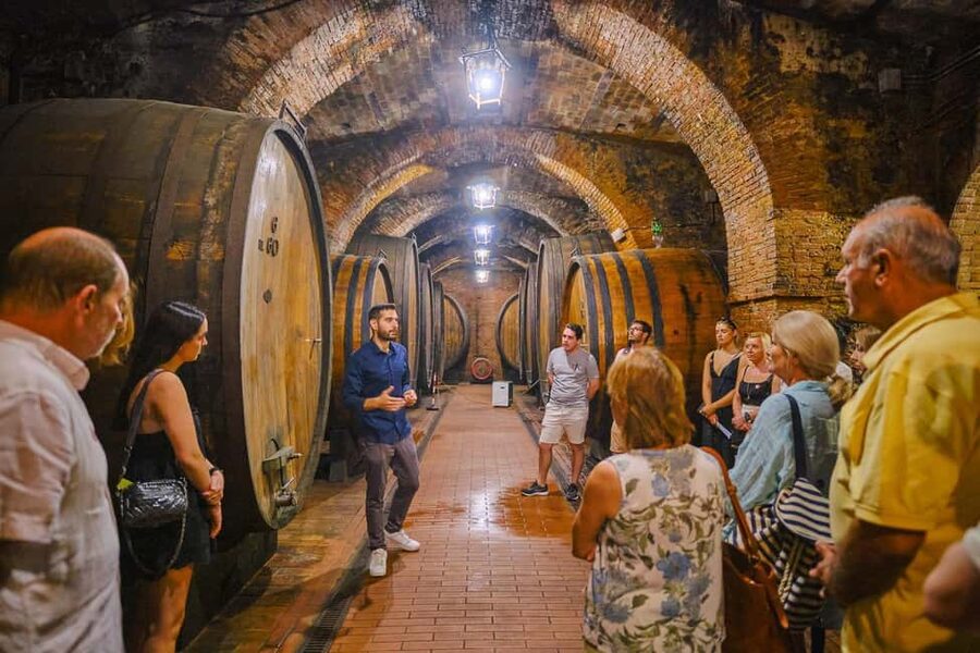 Florence: Val d'Orcia Private Chauffeur-Driven Tour - Key points at a glance