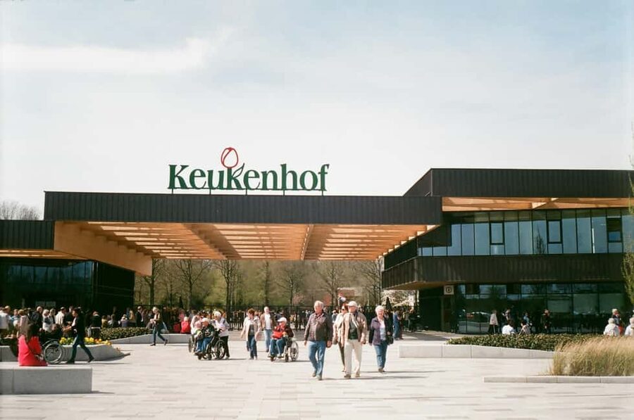 From Amsterdam: VIP Keukenhof Tulip Tour with Private Driver - Key points at a glance