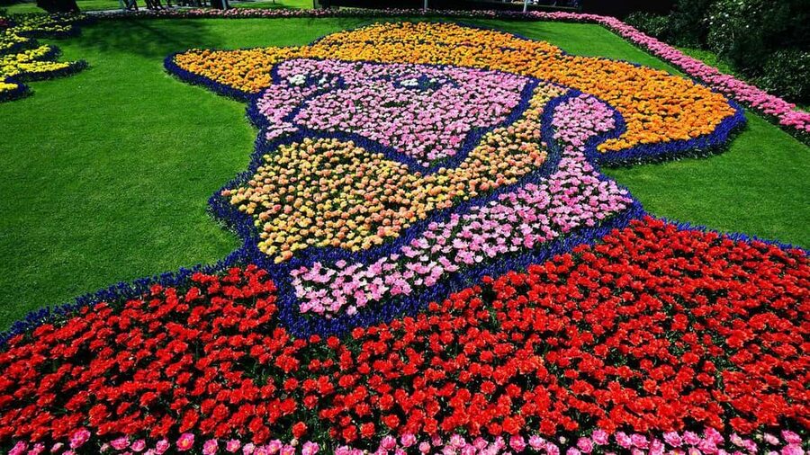 From Amsterdam: VIP Keukenhof Tulip Tour with Private Driver - Entering Keukenhof and finding your own route