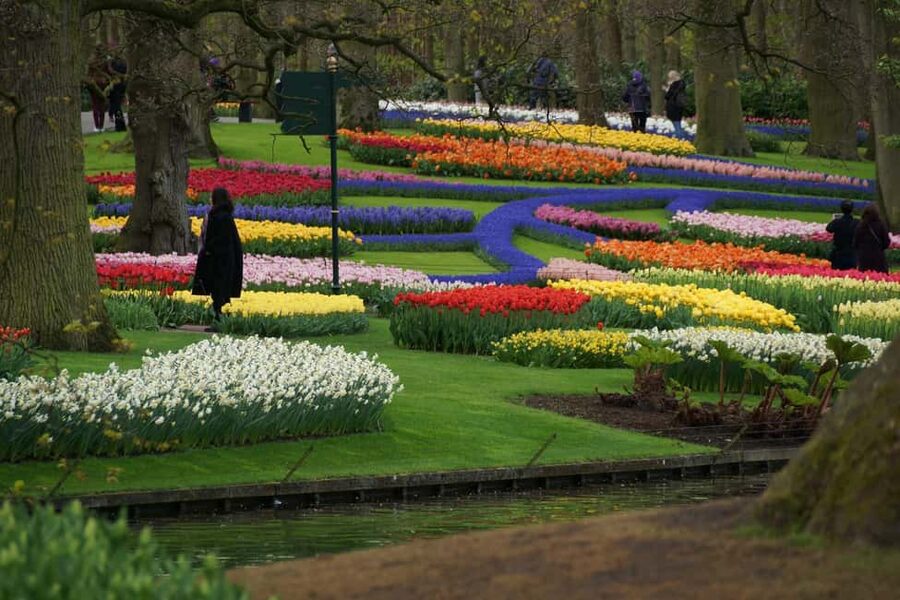 From Amsterdam: VIP Keukenhof Tulip Tour with Private Driver - Who will get the most from this tour