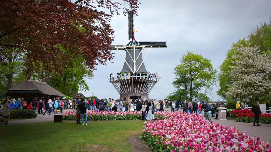 From Amsterdam: VIP Keukenhof Tulip Tour with Private Driver - Leaving Amsterdam in a private car
