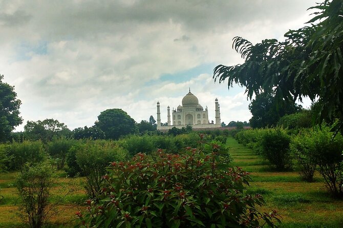 From Delhi : Luxury Taj Mahal Tour By Luxury Car- All Inclusive - A five-star buffet gives the day a proper pause