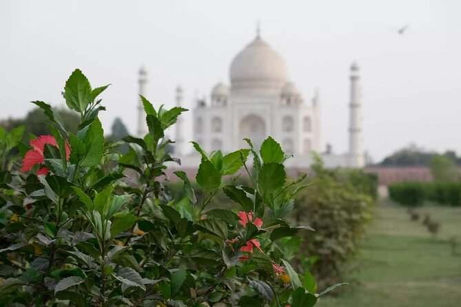 From Delhi : Luxury Taj Mahal Tour By Luxury Car- All Inclusive - Agra Fort puts the Taj Mahal in context
